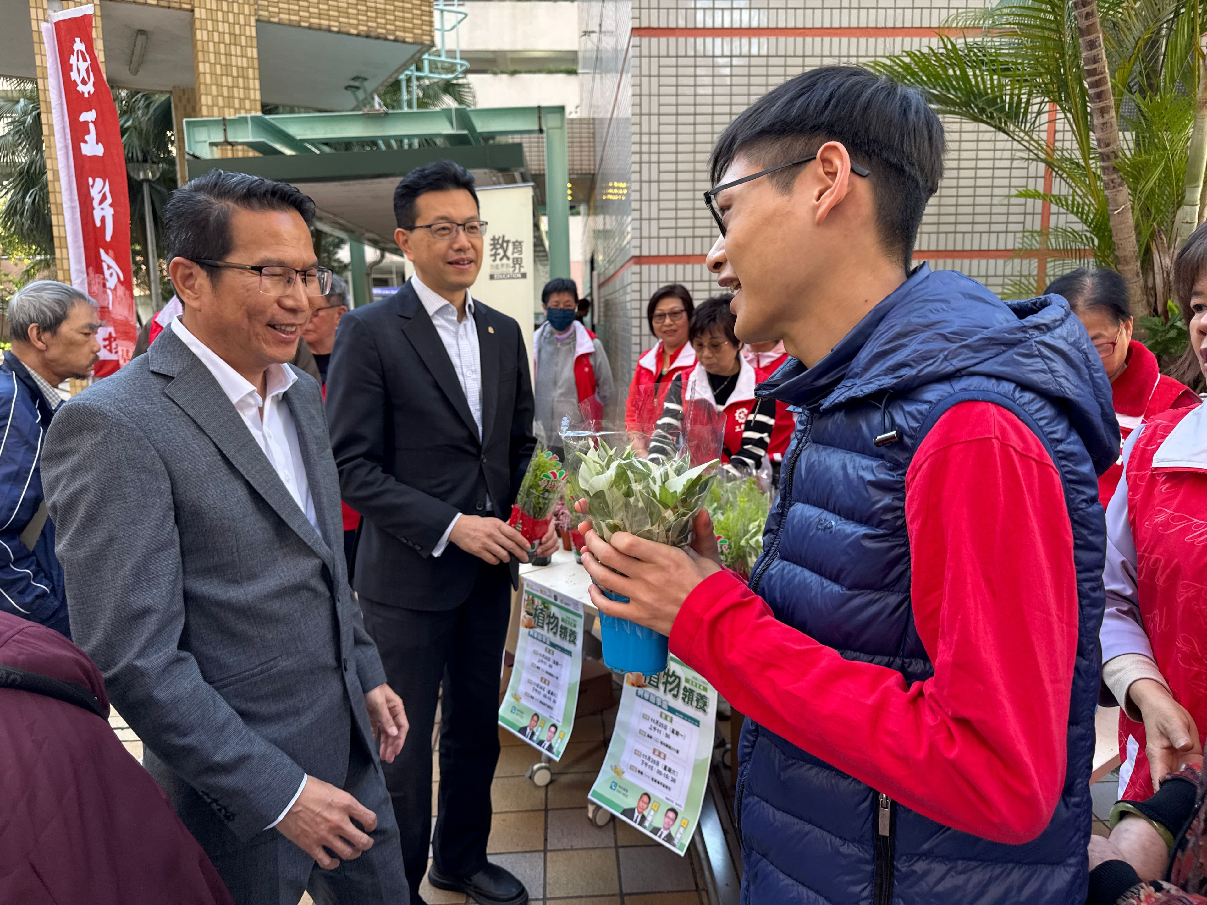 翠綠盆栽特寫